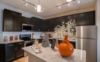9104 Canopy Oak Lane 1-3 Beds Apartment for Rent - Photo Gallery 41